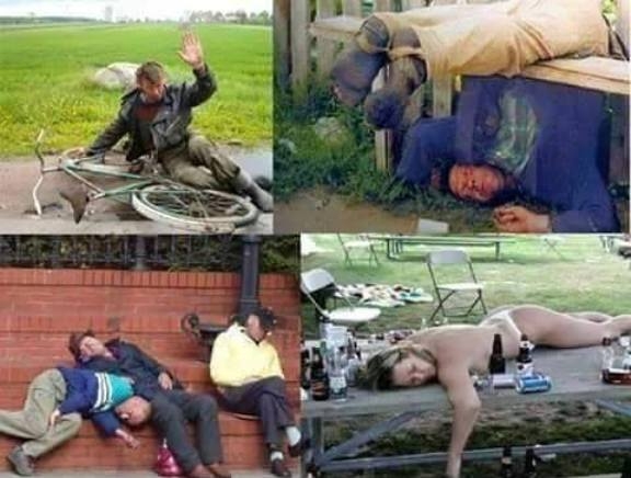 A szürkebarát 50 árnyalata