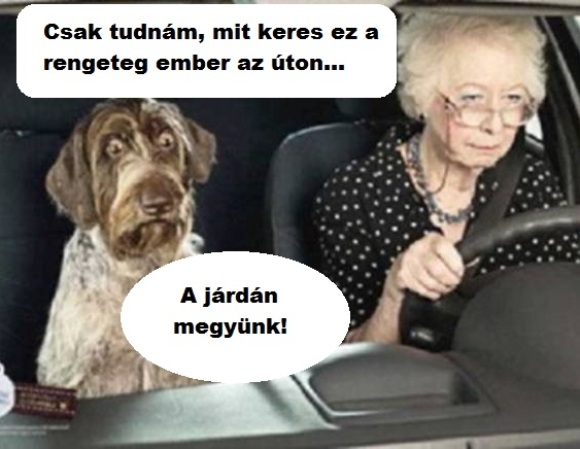 Autóba ült a nagyi...
