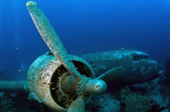 Brit tudósok legújabb megállapítása