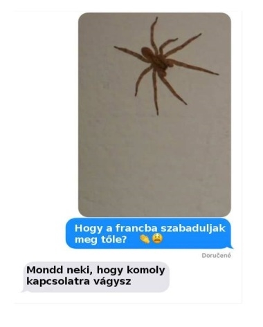 Amikor tanácsot kérsz a legjobb barátnődtől