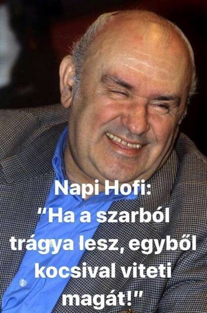 Hofi örök