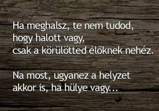 Napi tényfeltáró