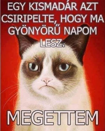 Nem volt szép dolog 