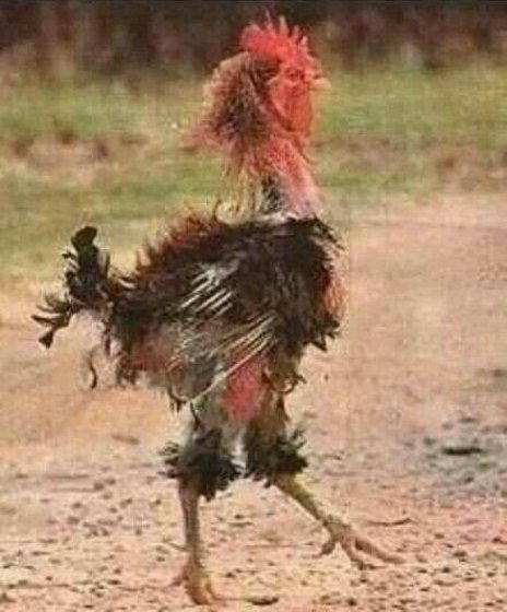 Kemény hétvége volt, de túléltem...