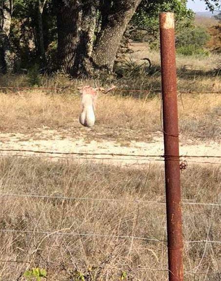 Amikor csak egy kicsi hiányzik,