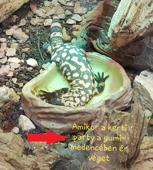 Klagenfurt - Hüllő park