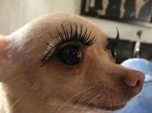 Mikor a csajon akkora műszempilla van, hogy