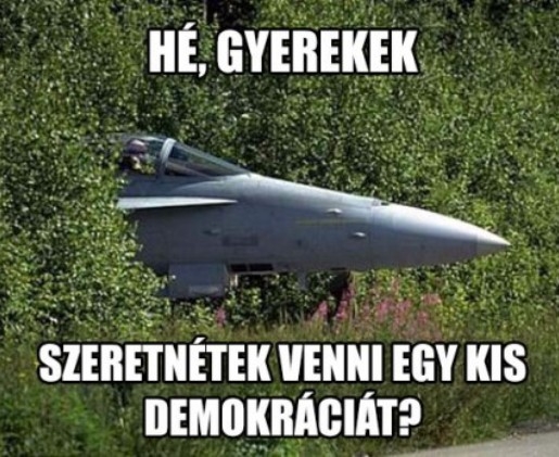 Állandóan lesben állnak...