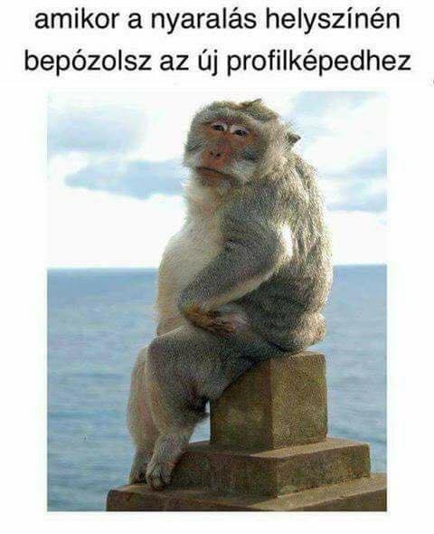 Az Instagram már tele van :P