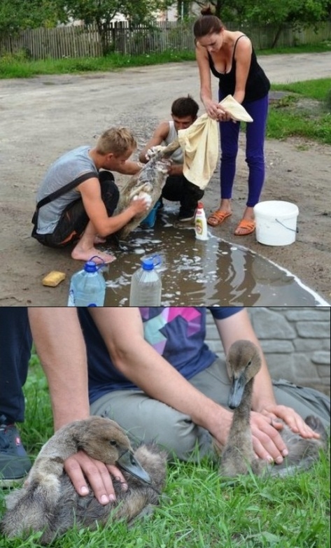 Oroszországból szeretettel