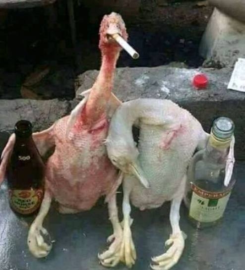 Van tüzed tezsvírem? 