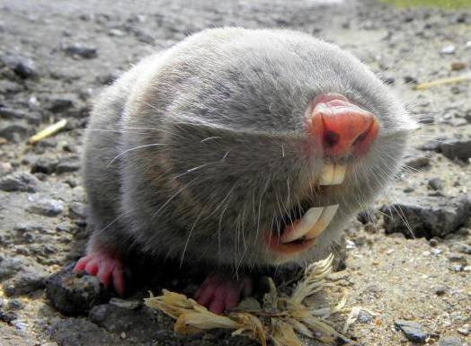 Jó reggelt, szép napot! 🙂