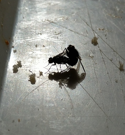 Nyár, napsütés, szerelem...