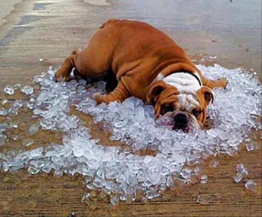 Nem azt mondom, hogy meleg van, de...