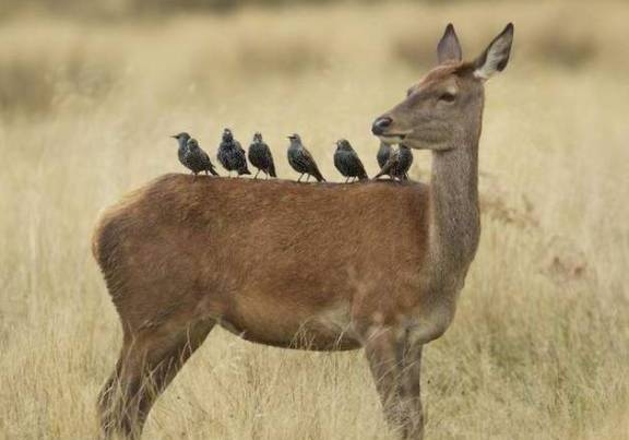Napi definíció - tömegközlekedés