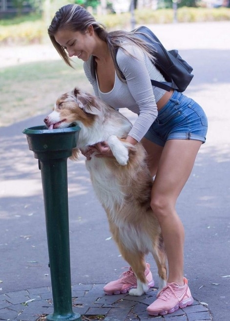 Kutya meleg lesz ma is...