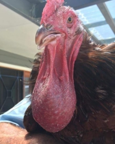 Jó meleg lesz ma is...