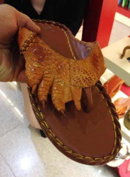 Eredeti krokodilbőr?