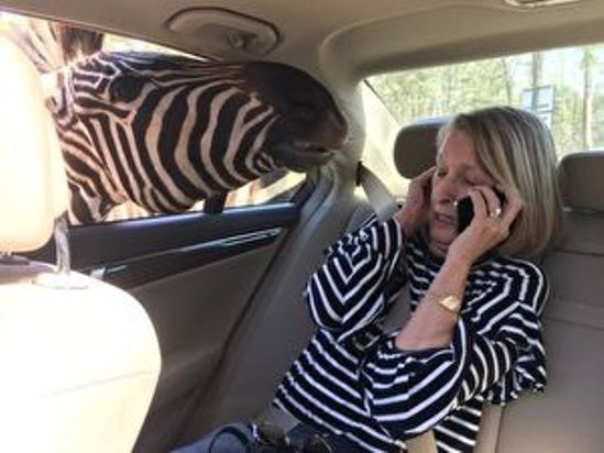 Anya, hát visszajöttél?!