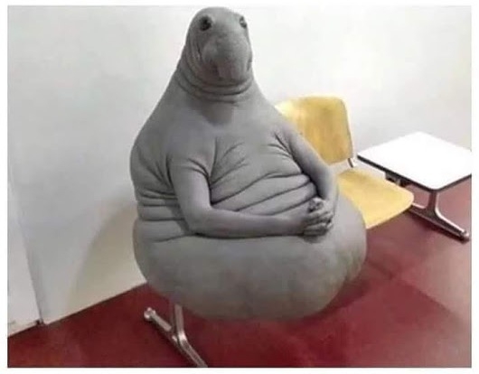 Amikor leborotválod a zacsit, de a csaj lemondja a randit