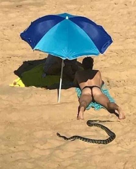 Meglepetéééééééés