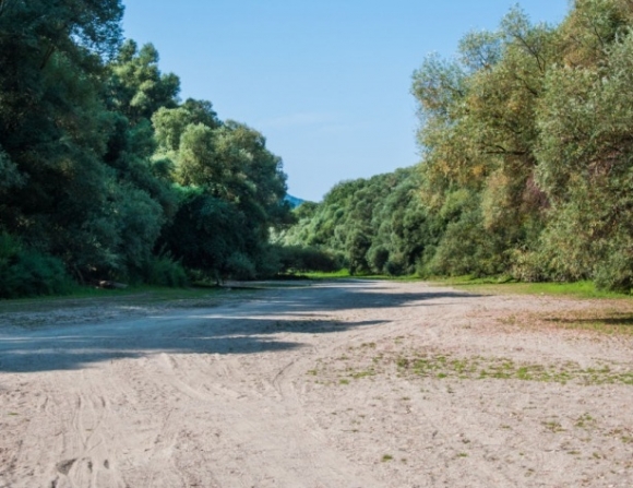 Napiszar vízállás jelentés