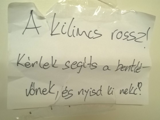 Csudapest, Margitsziget