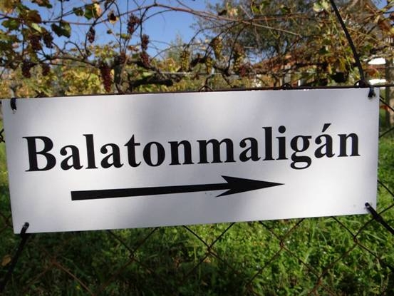 Jövőre ide megyek nyaralni