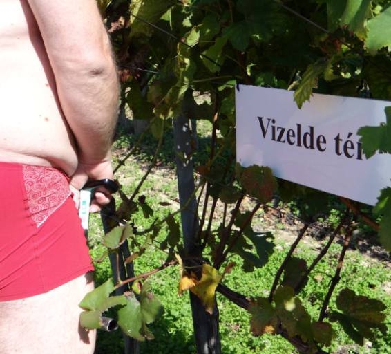 Vizelde tér, ott mindig hideg van