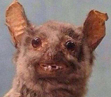 Nem gond, ha olyan ronda vagy, mint a munkába vezető út...