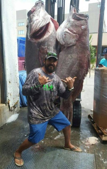 Ez aztán a Jófogás