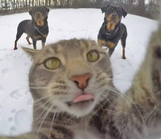 Tolok egy gyors szelfit, ezzel a két debillel