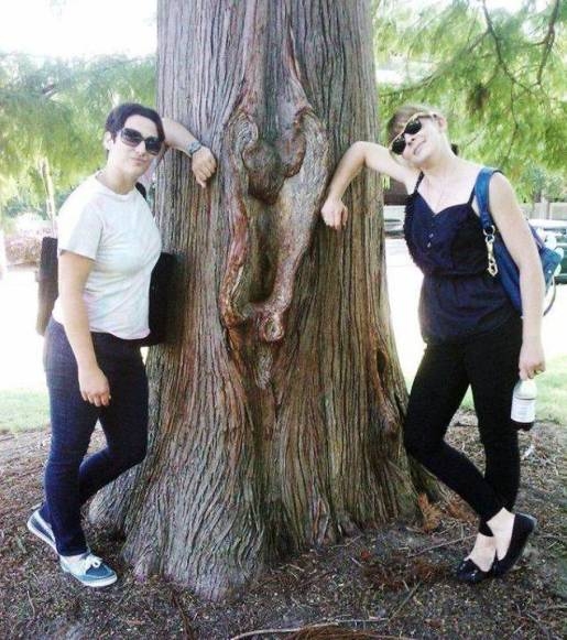 Pózolnak a hölgyek