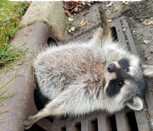 Elkapta szegényt a bohóc, de szerencsére...