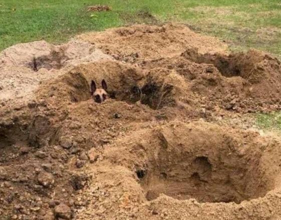 Ma döbbentem rá...