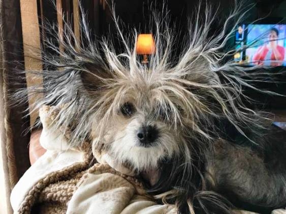 Ne röhögj, te sem vagy szebb korán reggel