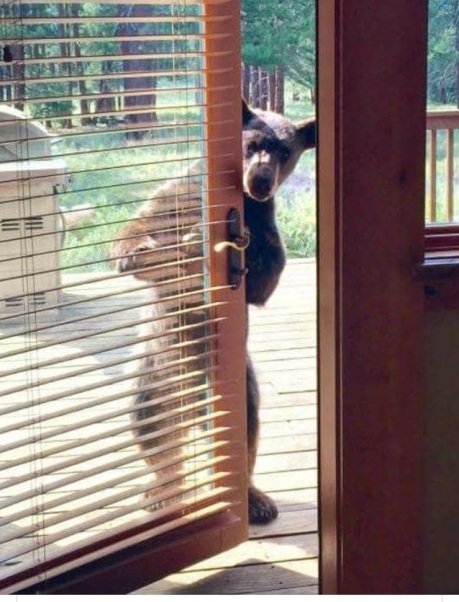 Valahol a Hargitán...