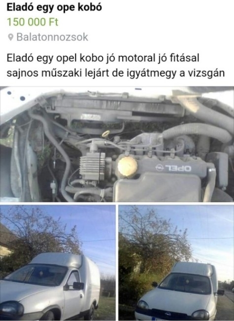 Egy jó kobót valaki?