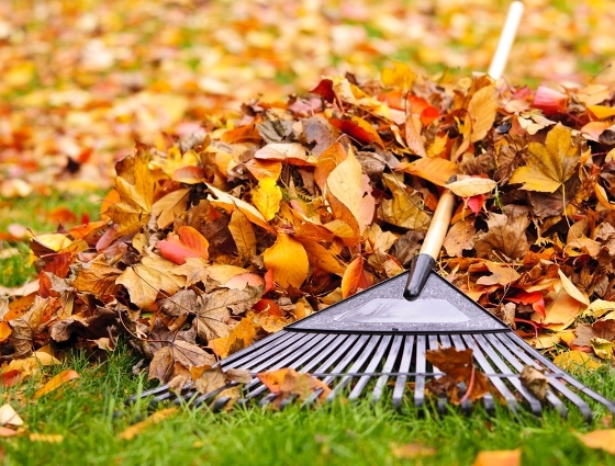 Önnek 5000 új levele érkezett!