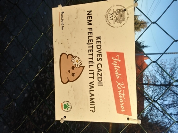 Eközben a kutyafuttatónál