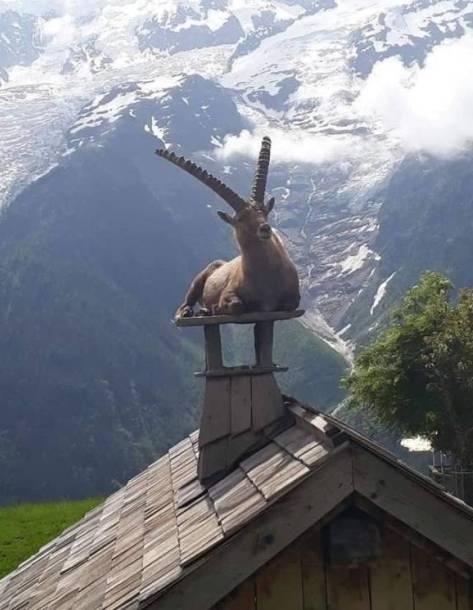 Megpihent egy kicsit