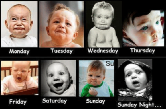 Nektek, hogy telik egy hét? :P