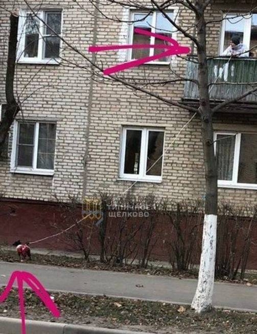 Ha a lustaság fájna...