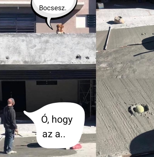 Buksi nem bír magával...