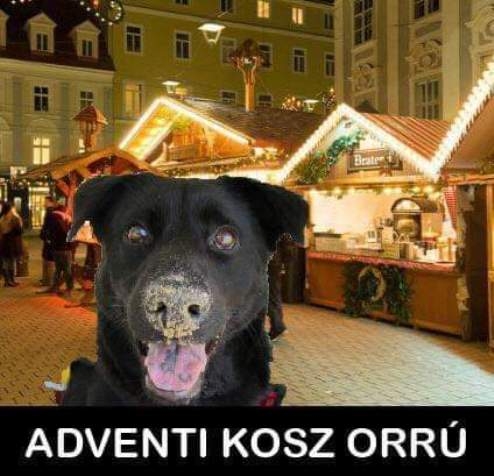 Advent első vasárnapjára egy kosz orrú