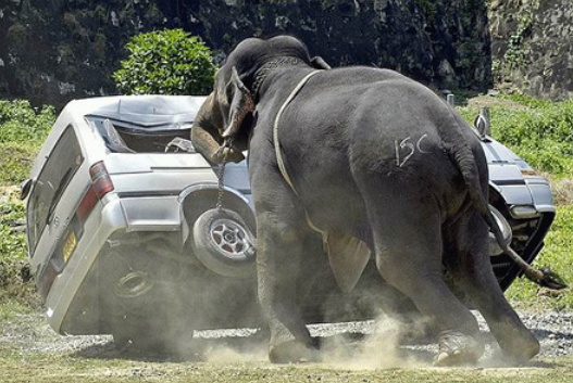 Dumbo II. - Az ítélet napja