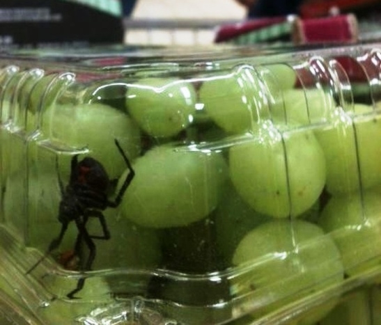 Amikor megkívánod a szőlőt, aztán...