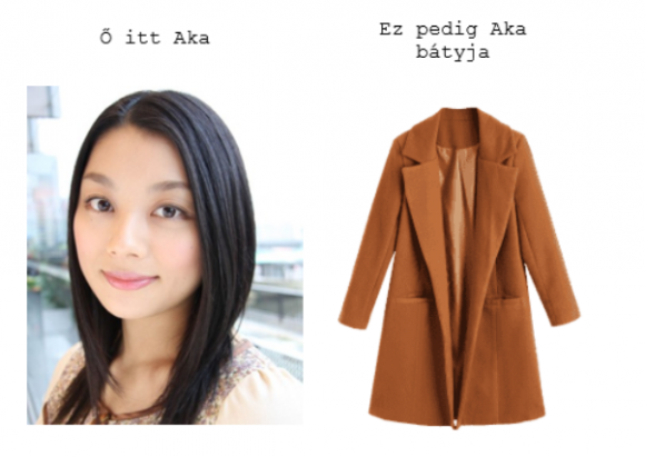 Japán családmodell