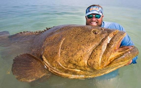 Ez aztán a jófogás!