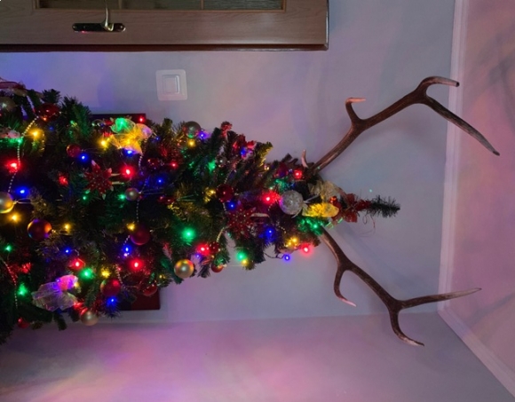 Boldog fölszarvazott karácsonyt 🙂